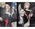 Starry Sky Artbook Vol.1 Coffret