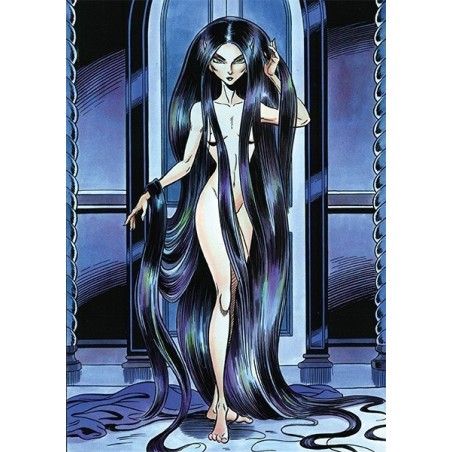 Elfquest T12 : SHARDS 2ème partie VC