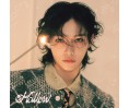 Stray Kids Hollow Japan Fanclub Solo edition - Felix