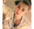 Stray Kids Hollow Japan Fanclub Solo edition - Hyunjin