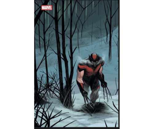 L'Antre du Snorgleux|Comics