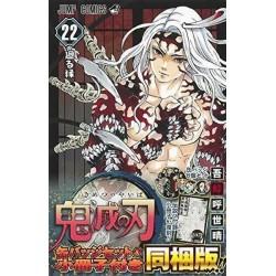 Kimetsu no Yaiba Vol.22 Edition Limitée
