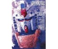 Gundam Mobile Suit Illustrated 2009